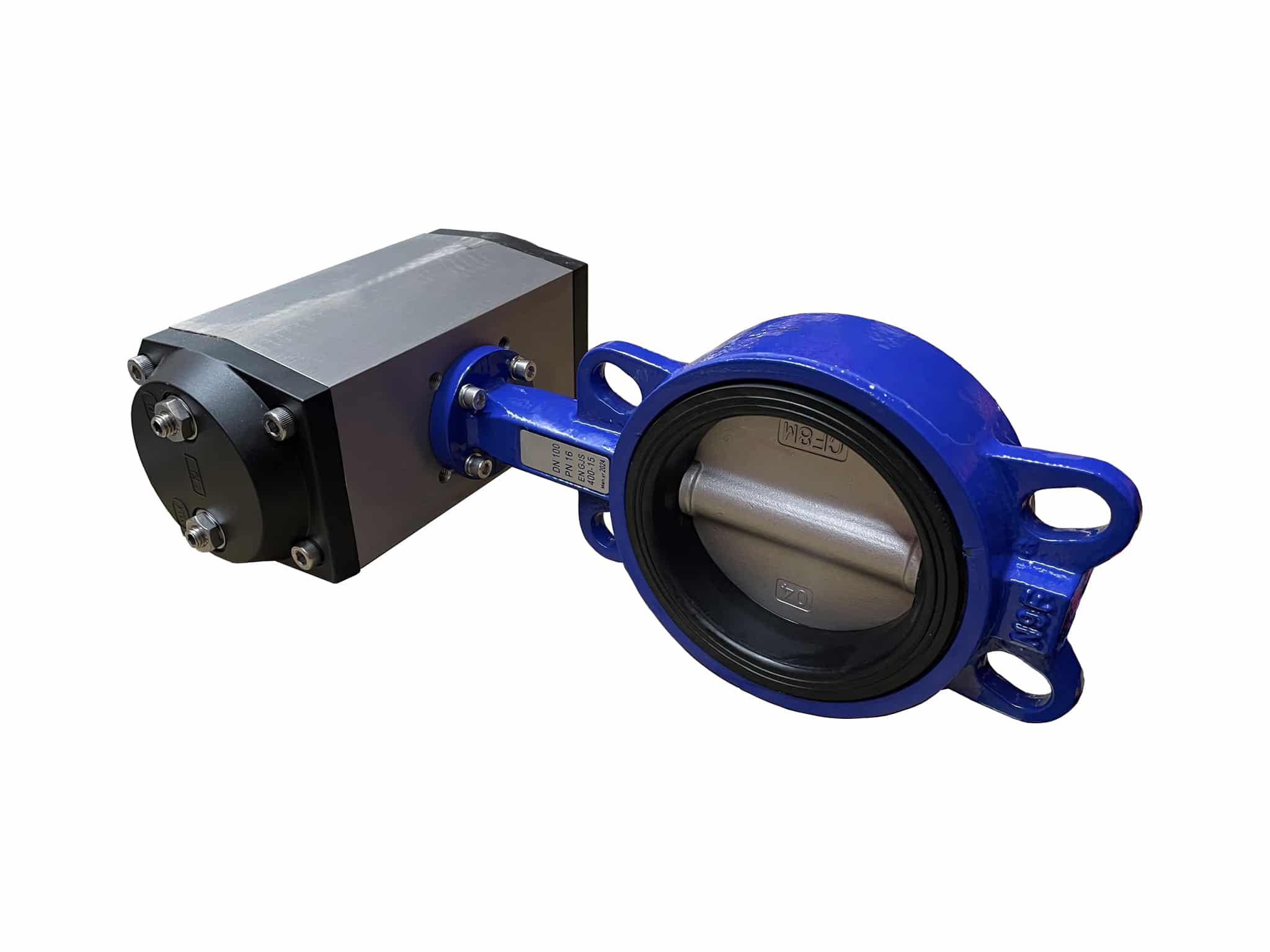 Wafer Valve